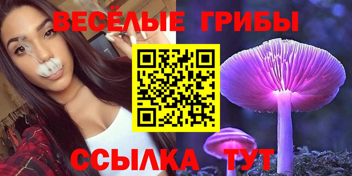 Галлюциногенные грибы GOLDEN TEACHER  Галлюциногенные грибы Magic Shrooms  Вход с VPN  Иваново 